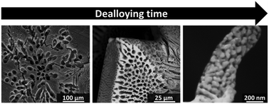 Graphical abstract: Towards tuning the modality of hierarchical macro-nanoporous metals by controlling the dealloying kinetics of close-to-eutectic alloys