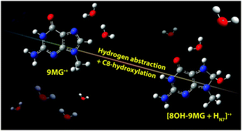 Graphical abstract: Reaction mechanism and dynamics for C8-hydroxylation of 9-methylguanine radical cation by water molecules