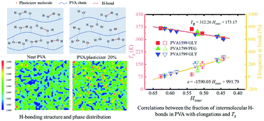 Graphical abstract: Hydrogen-bond-dominated mechanical stretchability in PVA films: from phenomenological to numerical insights