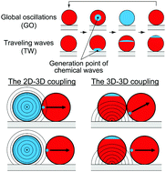 Graphical abstract: Traveling waves propagating through coupled microbeads in the Belousov–Zhabotinsky reaction