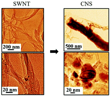 Graphical abstract: Emergence of carbon nanoscrolls from single walled carbon nanotubes: an oxidative route