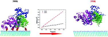 Graphical abstract: Spontaneous desorption of protein from self-assembled monolayer (SAM)-coated gold nanoparticles induced by high temperature