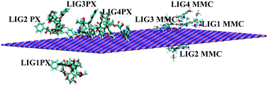 Graphical abstract: Improved delivery and competitive adsorption of paclitaxel and mitomycin C anticancer drugs on boron nitride nanoparticles: a molecular dynamics insight