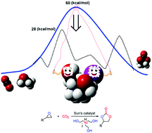 Graphical abstract: A DFT-design of single component bifunctional organocatalysts for the carbon dioxide/propylene oxide coupling reaction