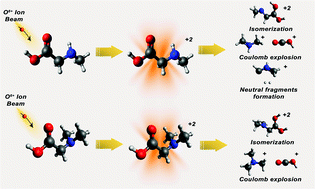 Graphical abstract: Controlling the diversity of ion-induced fragmentation pathways by N-methylation of amino acids