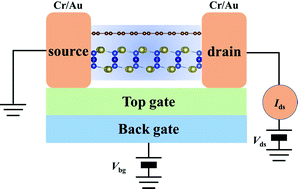 Graphical abstract: Electronic properties and interfacial contact of graphene/CrSiTe3 van der Waals heterostructures