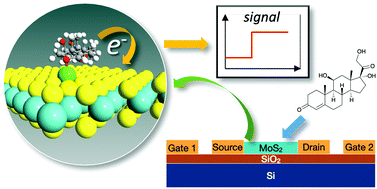 Graphical abstract: Assessing doping strategies for monolayer MoS2 towards non-enzymatic detection of cortisol: a first-principles study