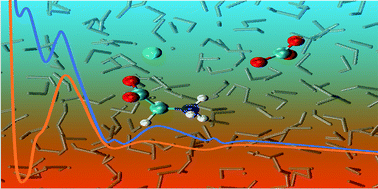 Graphical abstract: Simulating the binding of key organic functional groups to aqueous calcium carbonate species