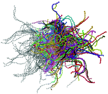 Graphical abstract: Martini 3 coarse-grained force field for poly(para-phenylene ethynylene)s