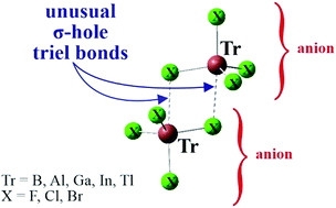Graphical abstract: Triel bonds within anion···anion complexes
