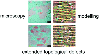 Graphical abstract: From graphene to graphene oxide: the importance of extended topological defects