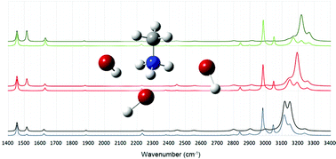 Graphical abstract: An ab initio anharmonic approach to IR, Raman and SFG spectra of the solvated methylammonium ion