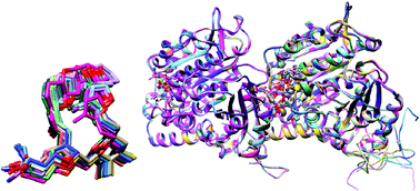 Graphical abstract: Computational study of interactions of anti-cancer drug eribulin with human tubulin isotypes