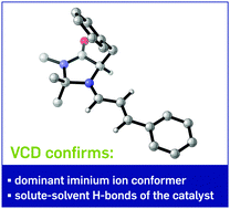 Graphical abstract: Vibrational CD study on the solution phase structures of the MacMillan catalyst and its corresponding iminium ion