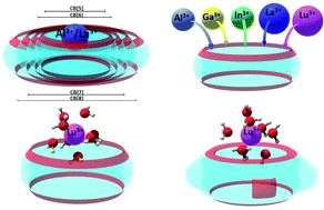 Graphical abstract: Complexation of trivalent metal cations (Al3+, Ga3+, In3+, La3+, Lu3+) to cucurbiturils: a DFT/SMD evaluation of the key factors governing the host–guest recognition