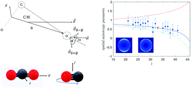 Graphical abstract: Dynamics and vector correlations of vacuum ultraviolet (VUV) photodissociation of CO2 at 155 nm