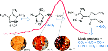 Graphical abstract: Autocatalytic decomposition of energetic materials: interplay of theory and thermal analysis in the study of 5-amino-3,4-dinitropyrazole thermolysis