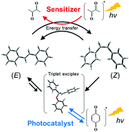 Graphical abstract: A catalyzed E/Z isomerization mechanism of stilbene using para-benzoquinone as a triplet sensitizer