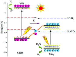 Graphical abstract: Two-dimensional CdS/SnS2 heterostructure: a highly efficient direct Z-scheme water splitting photocatalyst