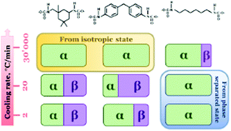 Graphical abstract: The effect of separation of blocks on the crystallization kinetics and phase composition of poly(butylene adipate) in multi-block thermoplastic polyurethanes