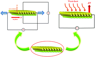 Graphical abstract: The coexistence of superior intrinsic piezoelectricity and thermoelectricity in two-dimensional Janus α-TeSSe