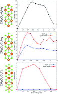 Graphical abstract: Magnetism and perfect spin filtering in pristine MgCl2 nanoribbons modulated by edge modification