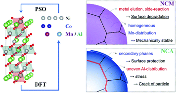 Graphical abstract: Origin of the different degradation mechanisms of LNCM and LNCA cathodes in Li-ion batteries