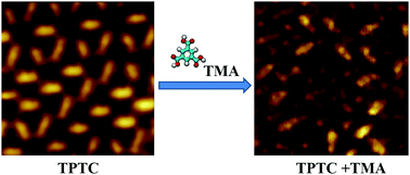 Graphical abstract: Mixing behavior of p-terphenyl-3,5,3′,5′-tetracarboxylic acid with trimesic acid at the solid–liquid interface