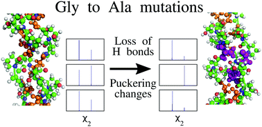 Graphical abstract: The effects of glycine to alanine mutations on the structure of GPO collagen model peptides