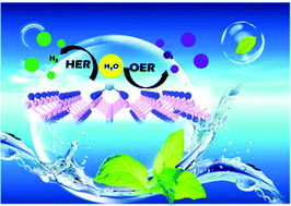 Graphical abstract: NP monolayer supported transition-metal single atoms for electrochemical water splitting: a theoretical study