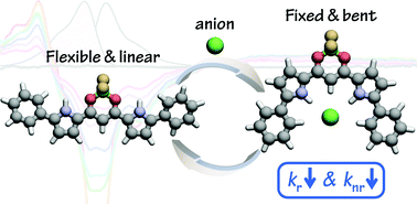 Graphical abstract: Excited-state dynamics of dipyrrolyldiketone difluoroboron complexes