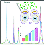 Graphical abstract: Surface-enhanced Raman spectroscopy detection of organic molecules and in situ monitoring of organic reactions by ion-induced silver nanoparticle clusters