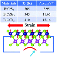 Graphical abstract: Coexistence of intrinsic room-temperature ferromagnetism and piezoelectricity in monolayer BiCrX3 (X = S, Se, and Te)