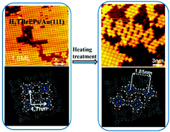 Graphical abstract: Directing on-surface polymerization via a substrate-directed molecular template