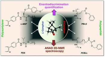 Graphical abstract: Study and quantification of the enantiodiscrimination power of four polymeric chiral LLCs using NAD 2D-NMR
