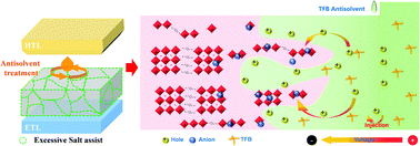 Graphical abstract: Improved highly efficient Dion–Jacobson type perovskite light-emitting diodes by effective surface polarization architecture