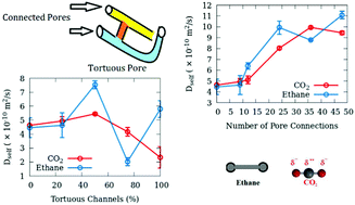 Graphical abstract: Effects of pore connectivity and tortuosity on the dynamics of fluids confined in sub-nanometer pores