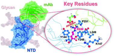 Graphical abstract: Predicting spike protein NTD mutations of SARS-CoV-2 causing immune evasion by molecular dynamics simulations