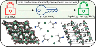 Graphical abstract: Fast magnesium ion conducting isopropylamine magnesium borohydride enhanced by hydrophobic interactions