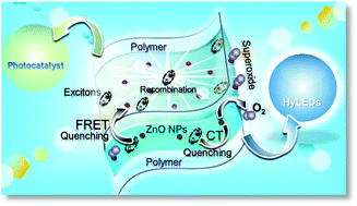 Graphical abstract: Insights into the impact of photophysical processes and defect state evolution on the emission properties of surface-modified ZnO nanoplates for application in photocatalysis and hybrid LEDs