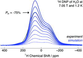 Graphical abstract: Frozen water NMR lineshape analysis enables absolute polarization quantification