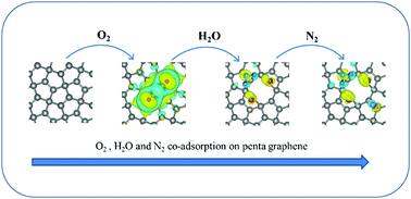 Graphical abstract: Effect of the co-adsorption of small molecules from air on the properties of penta-graphene and their proton transfer calculation