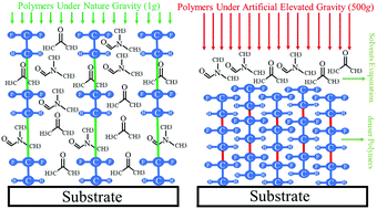 Graphical abstract: Compressibility and crystalline structures of PVDF membranes under elevated gravity acceleration by two-axis spin coating technology