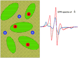 Graphical abstract: Structural properties of supercooled deep eutectic solvents: choline chloride–thiourea compared to reline