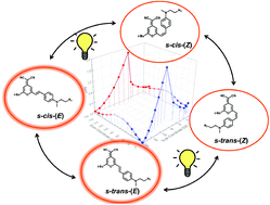 Graphical abstract: Photoisomerization of a 4-dicyanomethylene-2-methyl-6-(p-dimethylaminostyryl)-4H-pyran analog dye: a combined photophysical and theoretical investigation