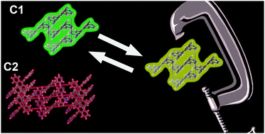 Graphical abstract: Understanding the solid state luminescence and piezochromic properties in polymorphs of an anthracene derivative