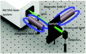 Graphical abstract: Structured light using carbon nanostructures driven by Kerr nonlinearities and a magnetic field