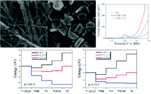 Graphical abstract: NiO nanobelts with exposed {110} crystal planes as an efficient electrocatalyst for the oxygen evolution reaction