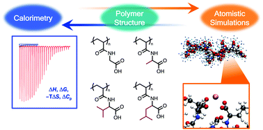 Graphical abstract: Exploring the role of polymer hydrophobicity in polymer–metal binding thermodynamics