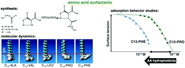 Graphical abstract: Experimental and theoretical study of adsorption of synthesized amino acid core derived surfactants at an air/water interface